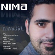 nima-to-nadidi