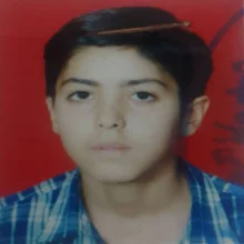 بهنام زلفی آرخلو